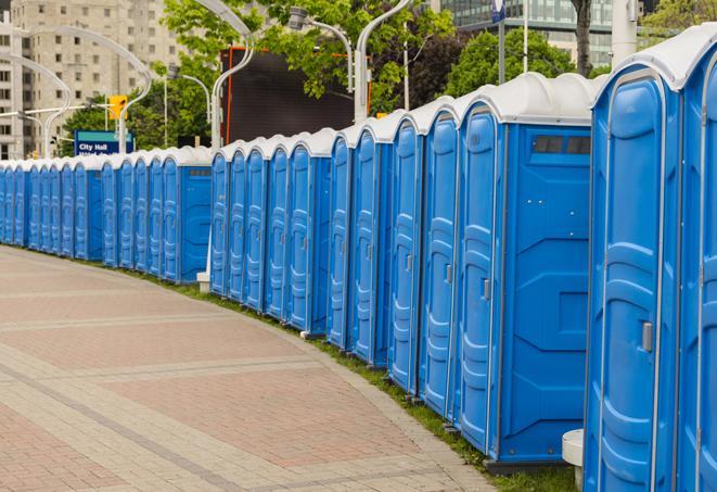 Seasonal porta potty units set up at a Binghamton, New York State venue